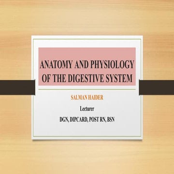 GIT hgvbh  h    hhjkxnsnwjeirhbdyxbsn dbshe  dbse