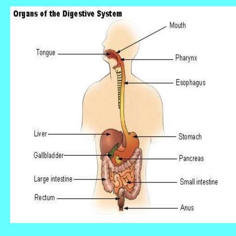 GIT (Dysphagia Syndrome)