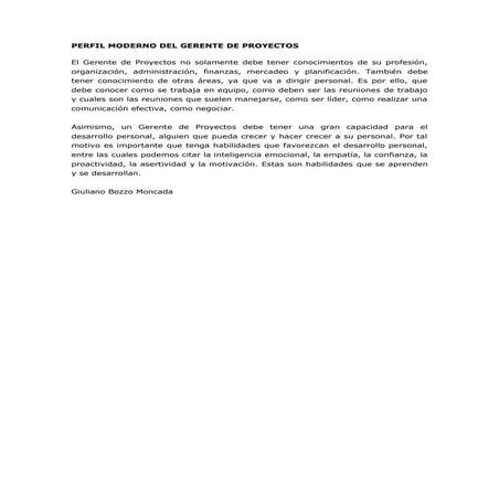 Giuliano Bozzo Moncada Perfil Gerente de Proyectos