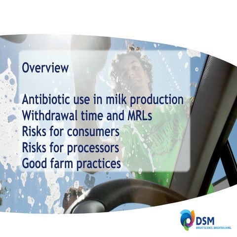 Antibiotic Residues In Milk, Risk For Consumers And Processors