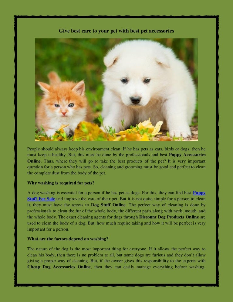 pet accessories online