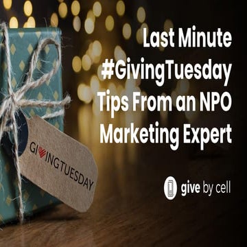 Last Minute #GivingTuesday Tips From An NPO Marketing Guru