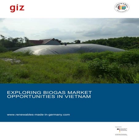Giz2013 en-exploring-biogas-market-opportunities-vietnam