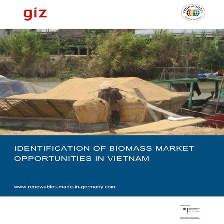 Giz2013 en-identification-of-biomass-market-opportunities-in-vietnam 2