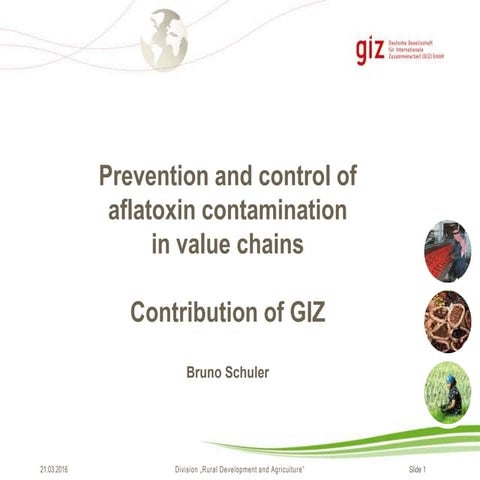 Prevention and control of aflatoxin contamination in value chains: Contrib...