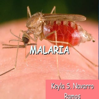 Malaria