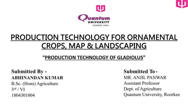Production Technology of Gladiolus