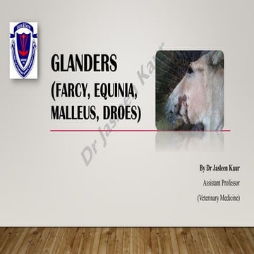 Comprehensive Overview of Glanders and Ulcerative Lymphangitis in ...
