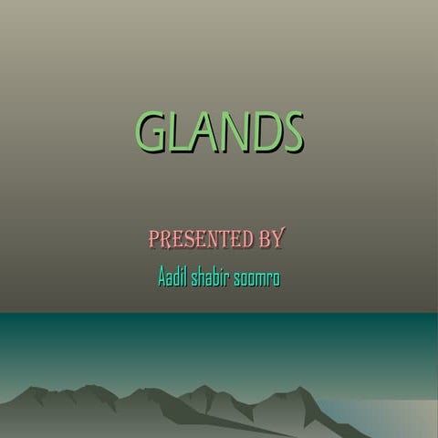 Glands