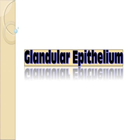 Glandular epithelium