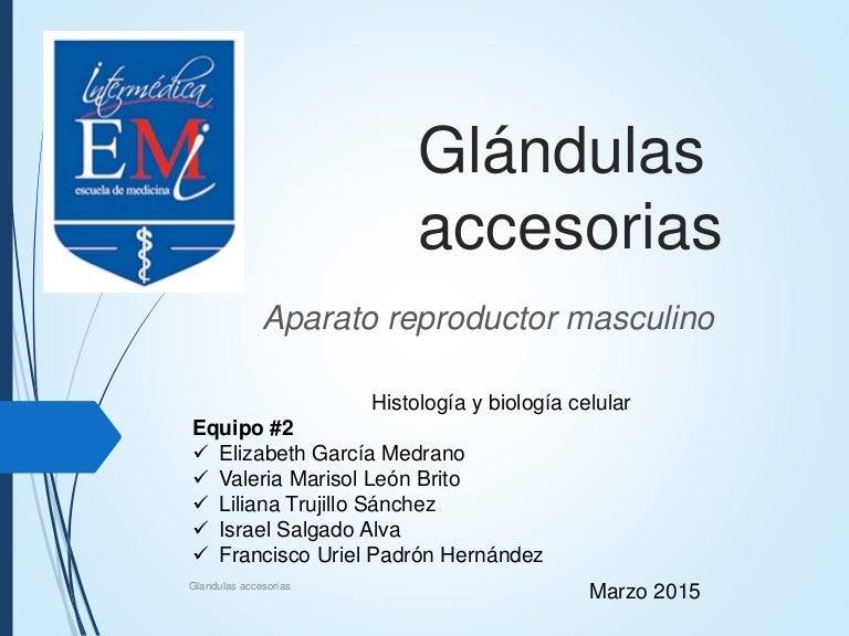 hermosa medicina para la prostatitis grande hermosa medicina para la prostatitis grande