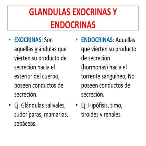 Glandulas exocrinas y endocrinas