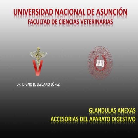 Glandulas salivares de los animales domesticos