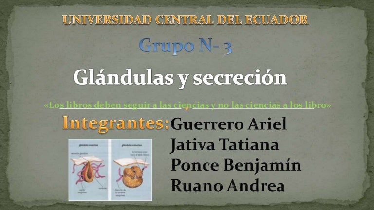 ¿Cuál es la función de las secreciones de la próstata?