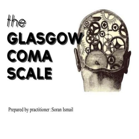 Glasco coma scale