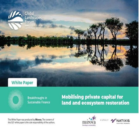 Mobilising Private Capital for Land and Restoration Ecosystem