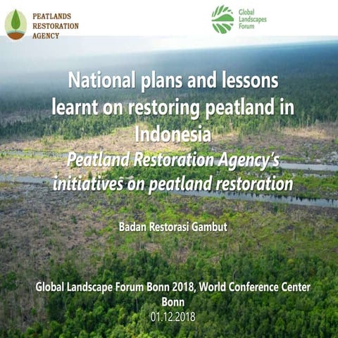 National plans and lessons learnt on restoring peatland in Indonesia: Peatlan...