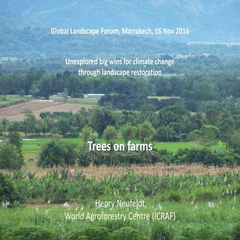 Trees on farms: Unexplored big wins for climate change  through landscape res...
