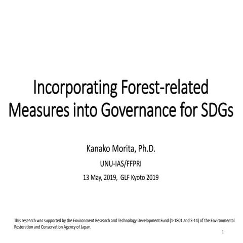 Incorporating Forest-related Measures into Governance for SDGs