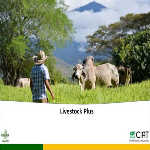 LivestockPlus