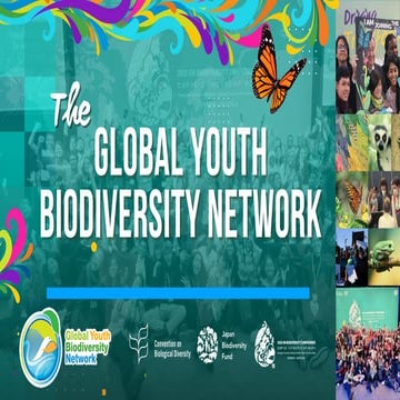 Youth Advocacy for Biodiversity, by GYBN | PDF