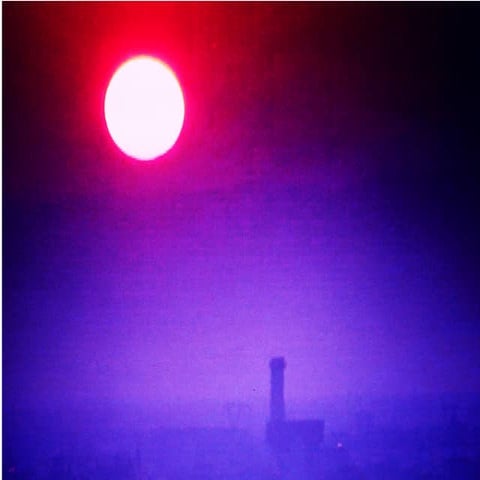 Gli inceneritori ed il bambu' cinese