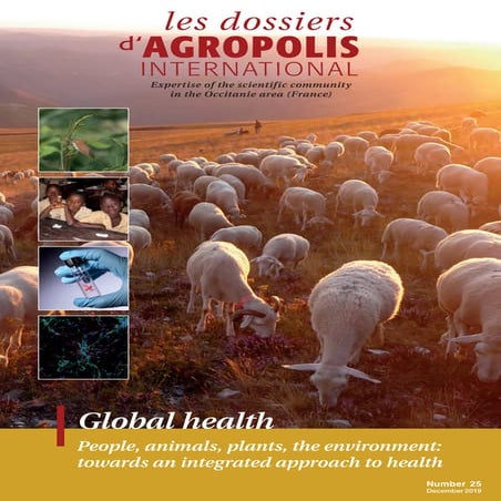Global health - People, animals, plants, the environment: towards an integrat...