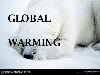 global-warming3953-thumbnail-3.jpg