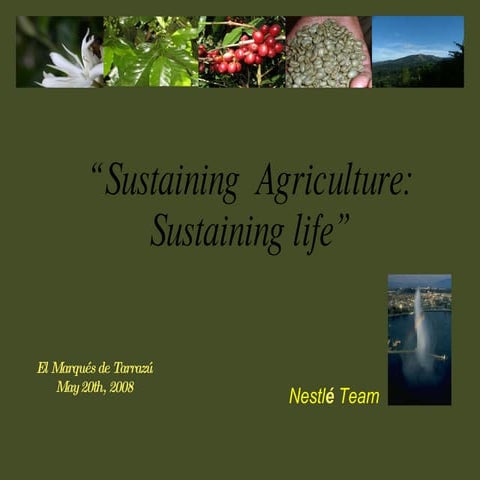 Global Agriculture Sustainability May08