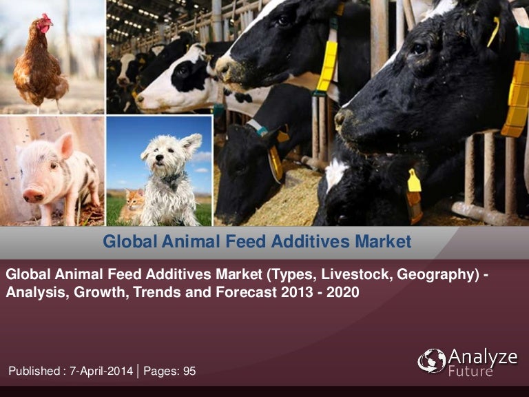 Global Animal Feed Additives Market (Types, Livestock, Geography) A…