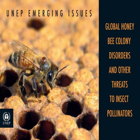 Global bee colony_disorder_and_threats_insect_pollinators