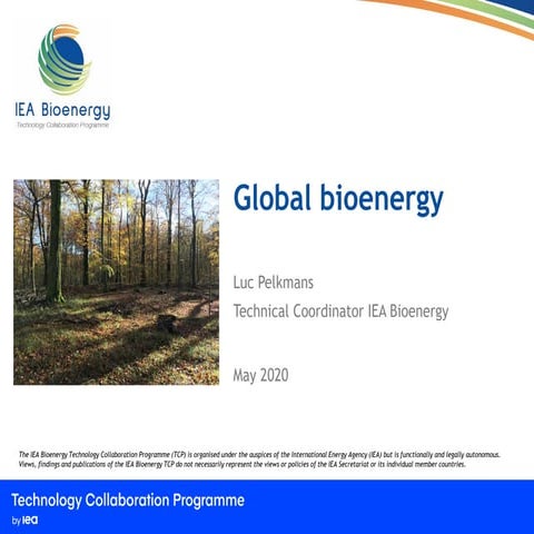 Global Bioenergy: Sustainable Potentials, Technologies, and Low-Carbon ...