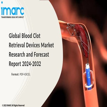 Blood Clot Retrieval Devices Market PPT 2024: Size, Growth, Demand and ...
