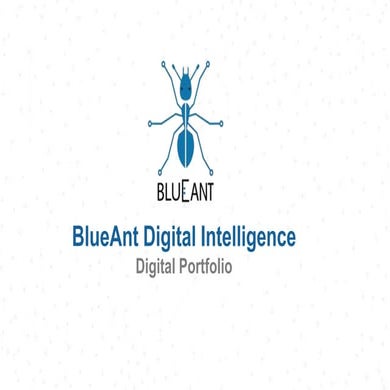 BlueAnt Digital Intelligence: Services and Case Studies