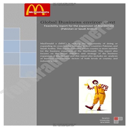 Global business environment   feasibility report for expansion - academic assignment - www.topgradepapers.com