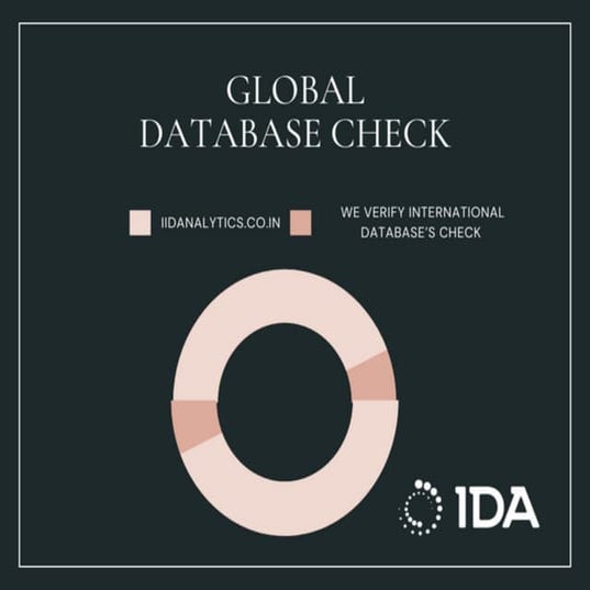 Global Database Check | PDF