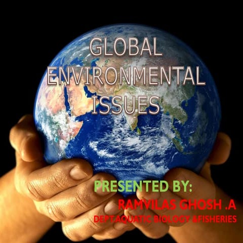 Global environmental issues