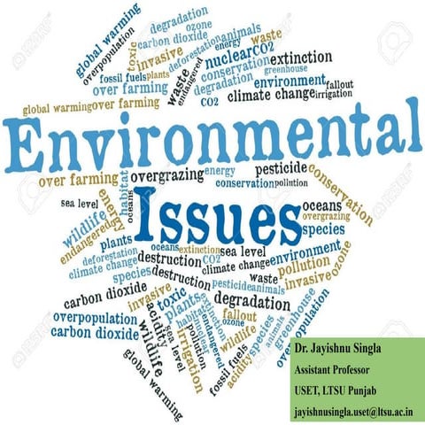 Global environmental issues | PPTX