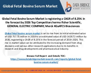 Global fetal bovine serum market