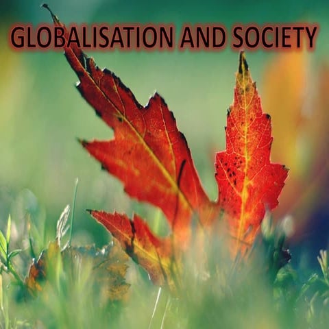Globalisation and society