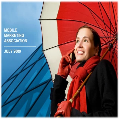 MMA South Africa Workplan