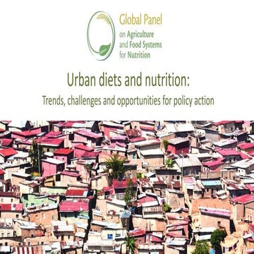 Global Panel Urbanization Policy Brief