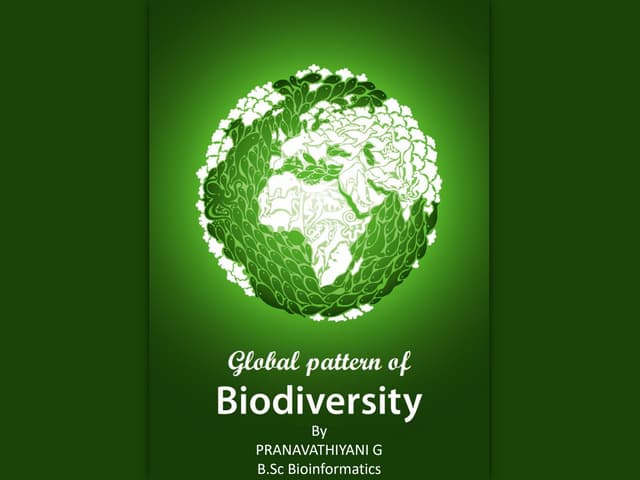 Global pattern of biodiversity
