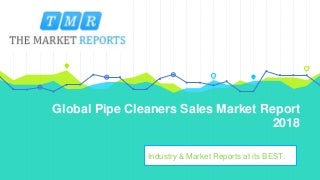 Global Pipe Cleaners Market Revenue Status and Outlook (2013-2025)