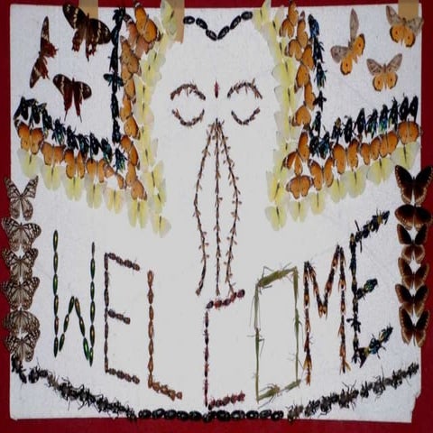 Global status of genetically modified crops in ipm perspective