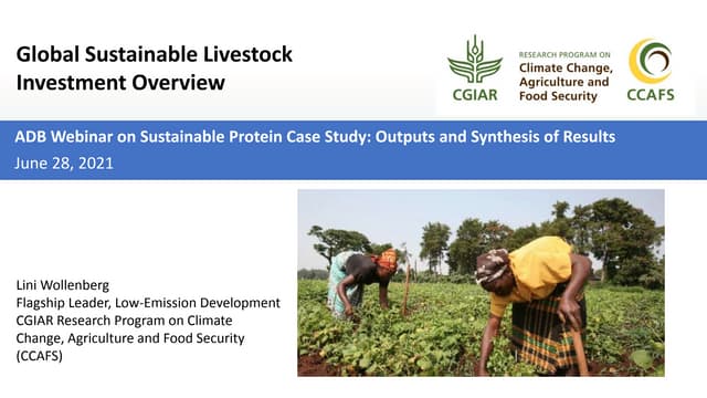 Global sustainable livestock investment overview