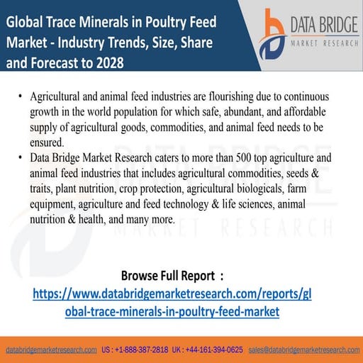 Global Trace Minerals in Poultry Feed Market.pdf