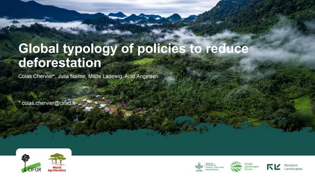 thumbnail of  Global typology of policies to reduce deforestation