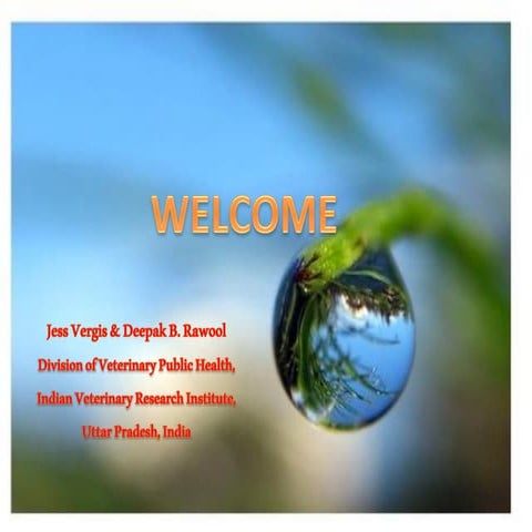 Global veterinary and medical perspectives on one health