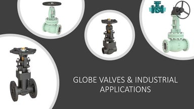 Globe valves &amp; industrial applications